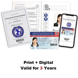 International Driver License