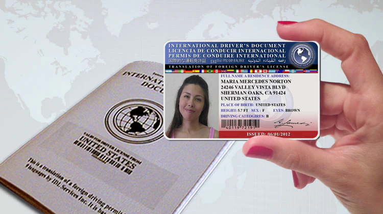 International Driver License
